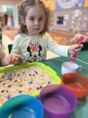 IMG_7815.jpeg