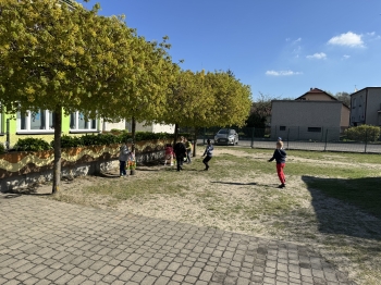 IMG_3647.jpeg