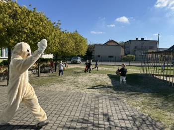 IMG_3648.jpeg