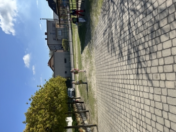 IMG_3652.jpeg