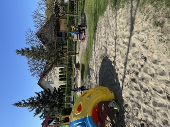 IMG_3651.jpeg