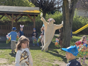 IMG_3656.jpeg