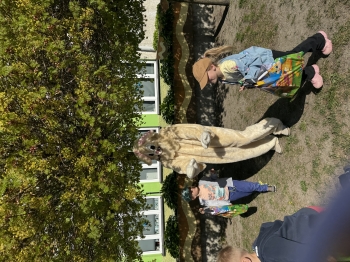 IMG_3673.jpeg