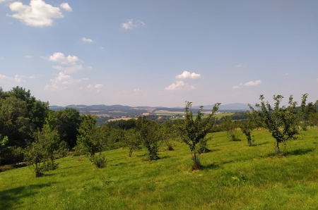 Wiosna, wiosna, wiosna ach to ty...